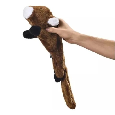 Ardilla Ted Ardilla Ted