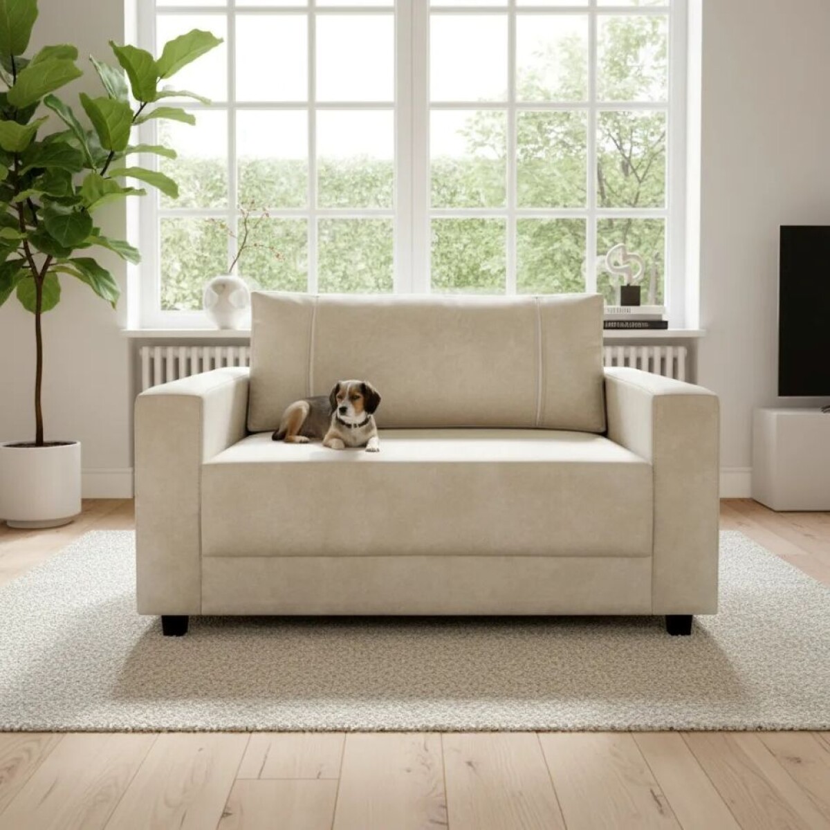 SOFA 2 CUERPOS - TAPIZADO TELA PET FRIENDLY BEIGE 