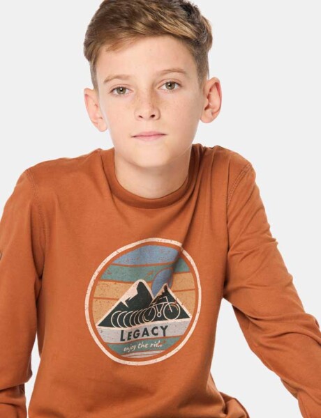 REMERA ESTAMPADA Terracota