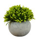 Arbusto Artificial 12X5CM S/C