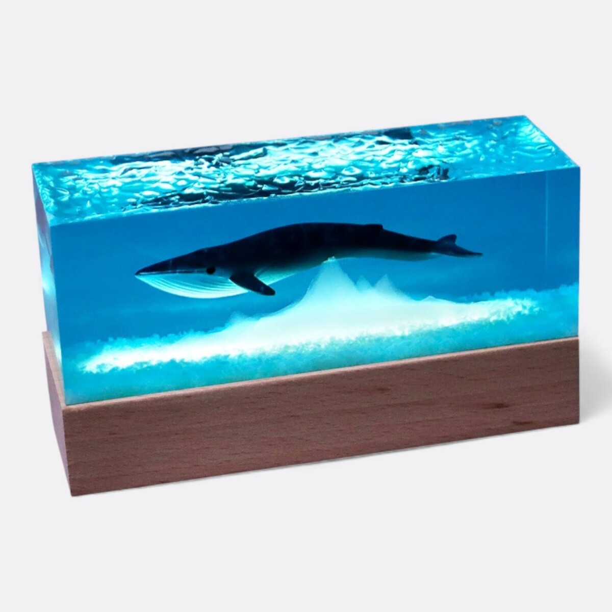 Lampara de Resina Rectangular Ballena 