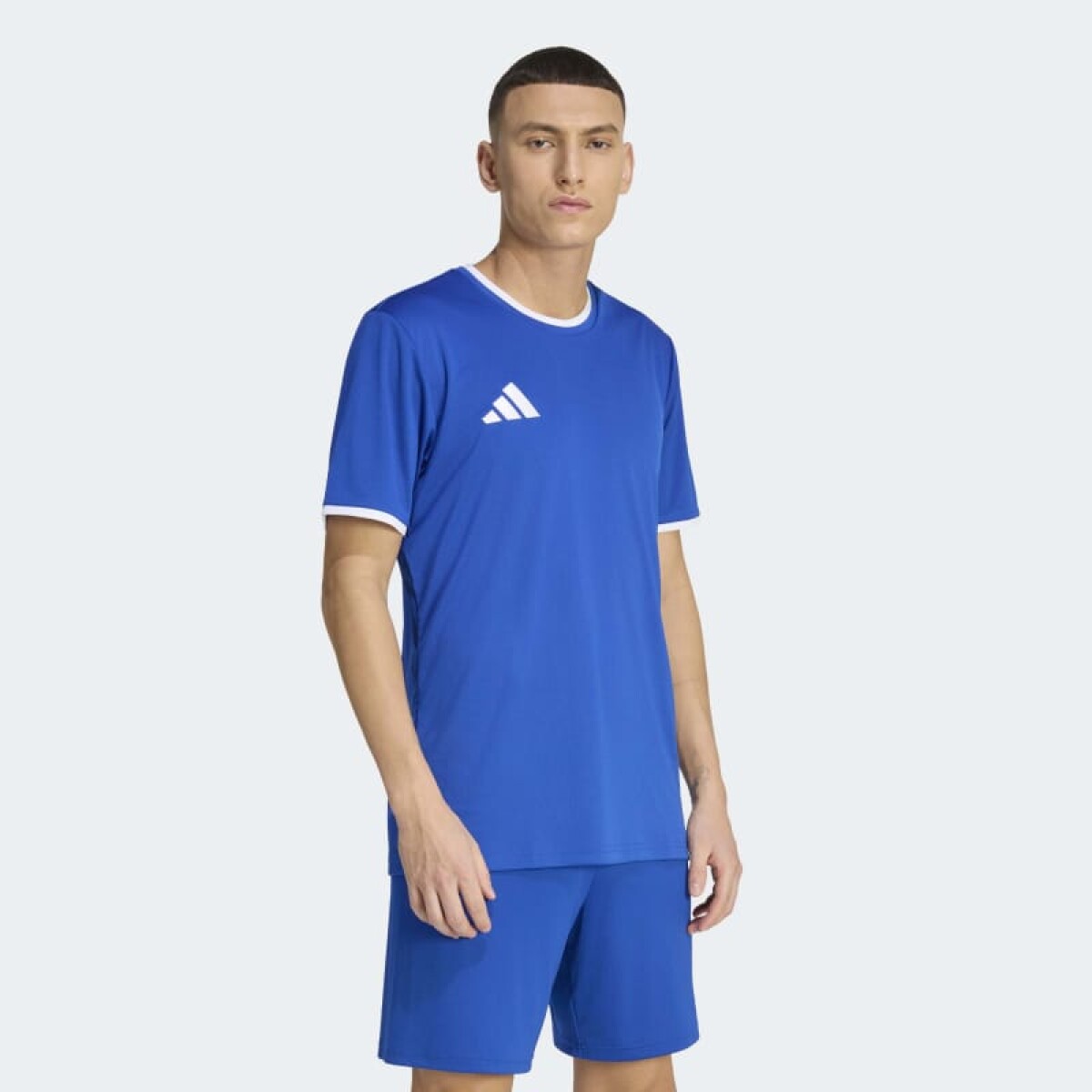 Remera Adidas Entrada26 - Azul 