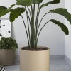 Macetero Cilindro 40 Beige Alto 40cm x 40cm diametro, 50 lts Macetero Cilindro 40 Beige Alto 40cm x 40cm diametro, 50 lts