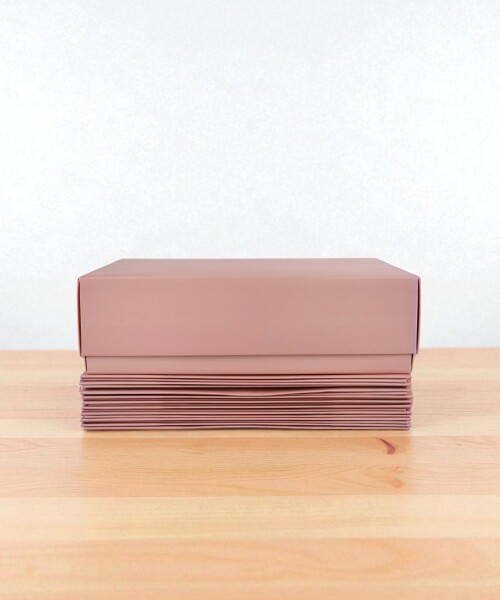 Pack x 10 unid – caja 08 20x30x9 cm Laminada NUDE