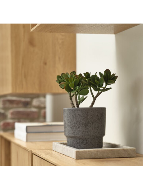 Planta artificial JOSTEIN H23 cm verde Planta artificial JOSTEIN H23 cm verde