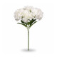 Ramo de 5 Hortensias Blanca