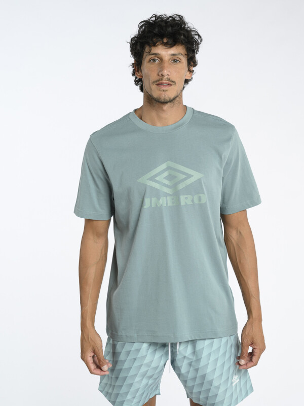 Remera LARGE LOGO TEE Umbro Hombre 00f