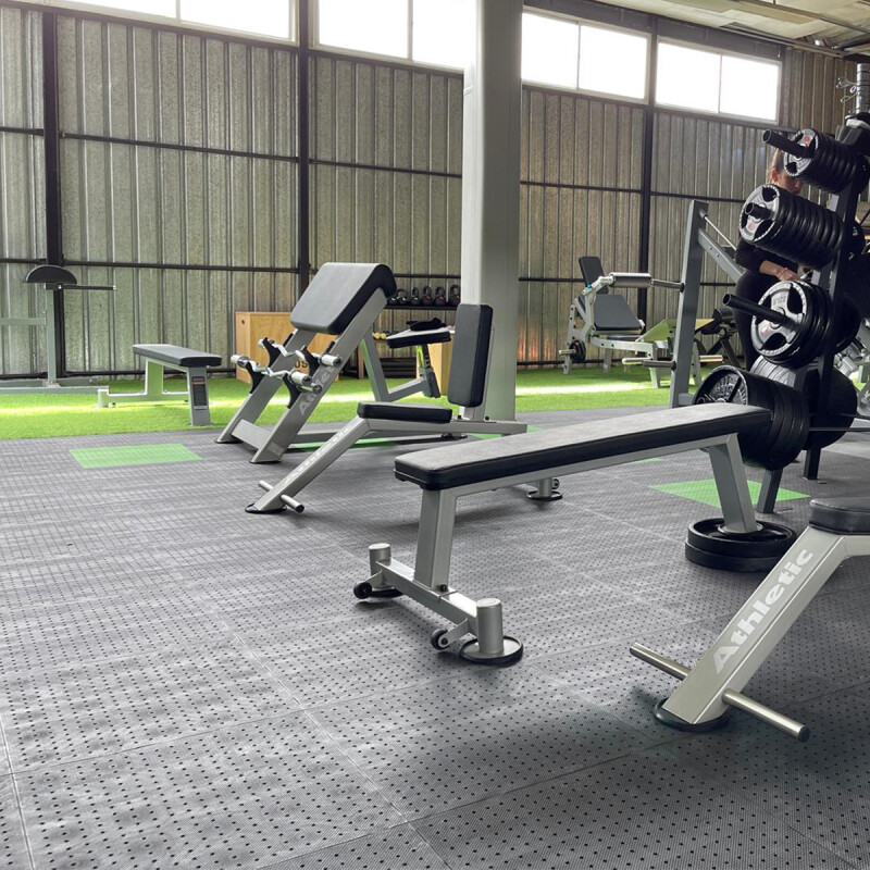 Seated Preacher Curl Performance Gris