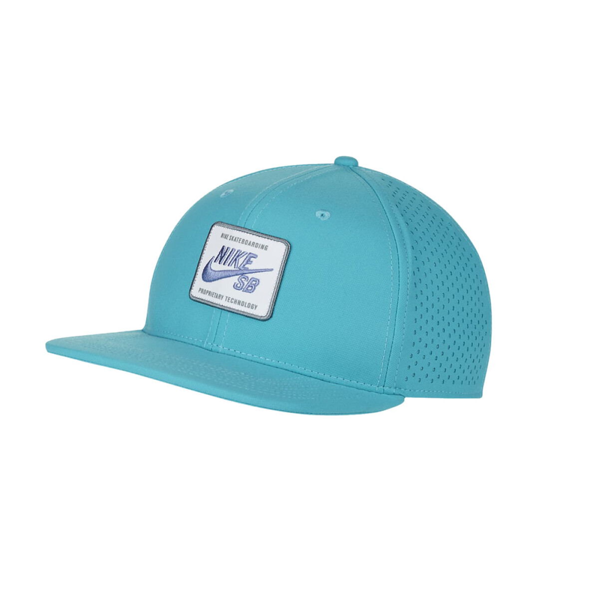 Gorra Nike SB AeroBill Pro 2.0 - 359 