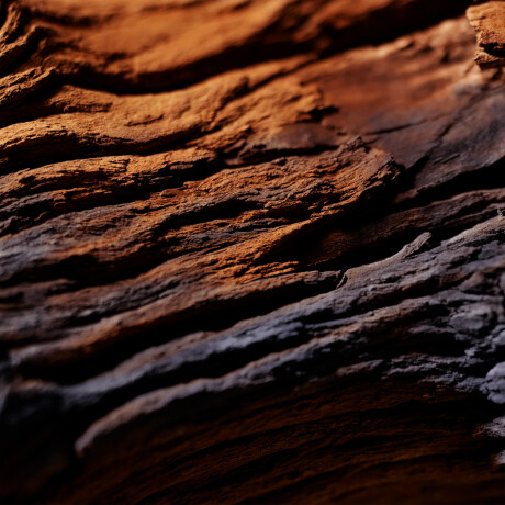 Perfume Ralph Lauren Polo Red Parfum 40ml Perfume Ralph Lauren Polo Red Parfum 40ml