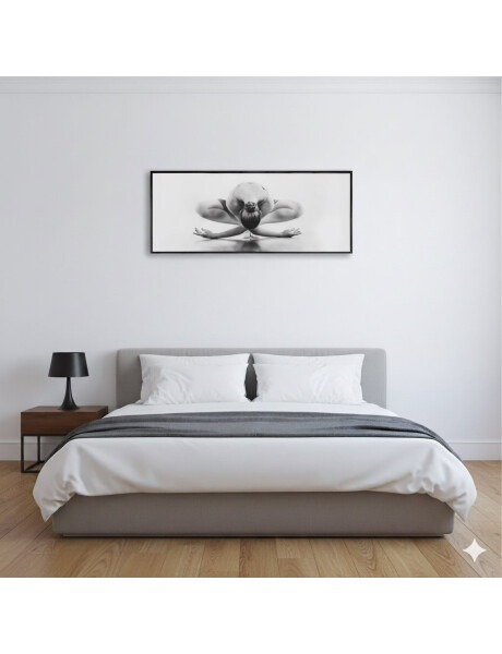 CUADRO 90x30cm MARCO BAILARINA FONDO BLANCO 1 CUADRO 90x30cm MARCO BAILARINA FONDO BLANCO 1