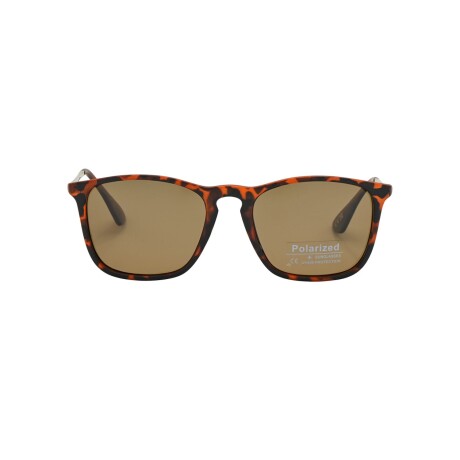 Lentes de Sol Bloom polarizados y protección UV PL246 C3