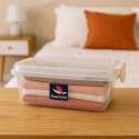 CAJA ORGANIZADORA RISCHIOTO 20 LITROS CHATA CAJA ORGANIZADORA RISCHIOTO 20 LITROS CHATA