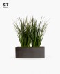 KIT Jardinera "Gris grafito" 80cm* 30cm* 30cm* C/ Dietes y Sustratos