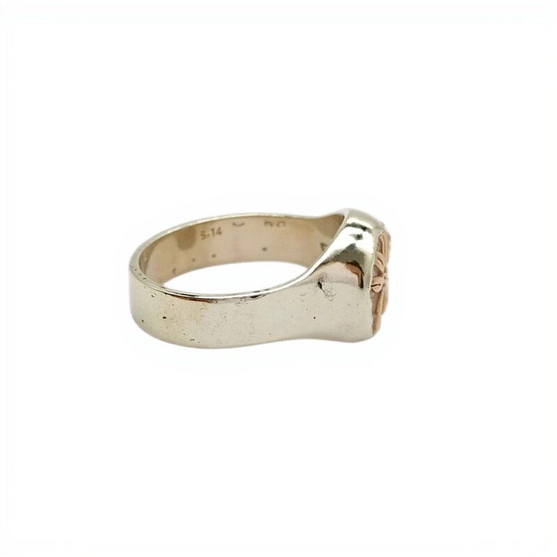 Anillo Profesión Educación Física -Plata y Oro-Sin Piedra-AP5026 sinpiedra
