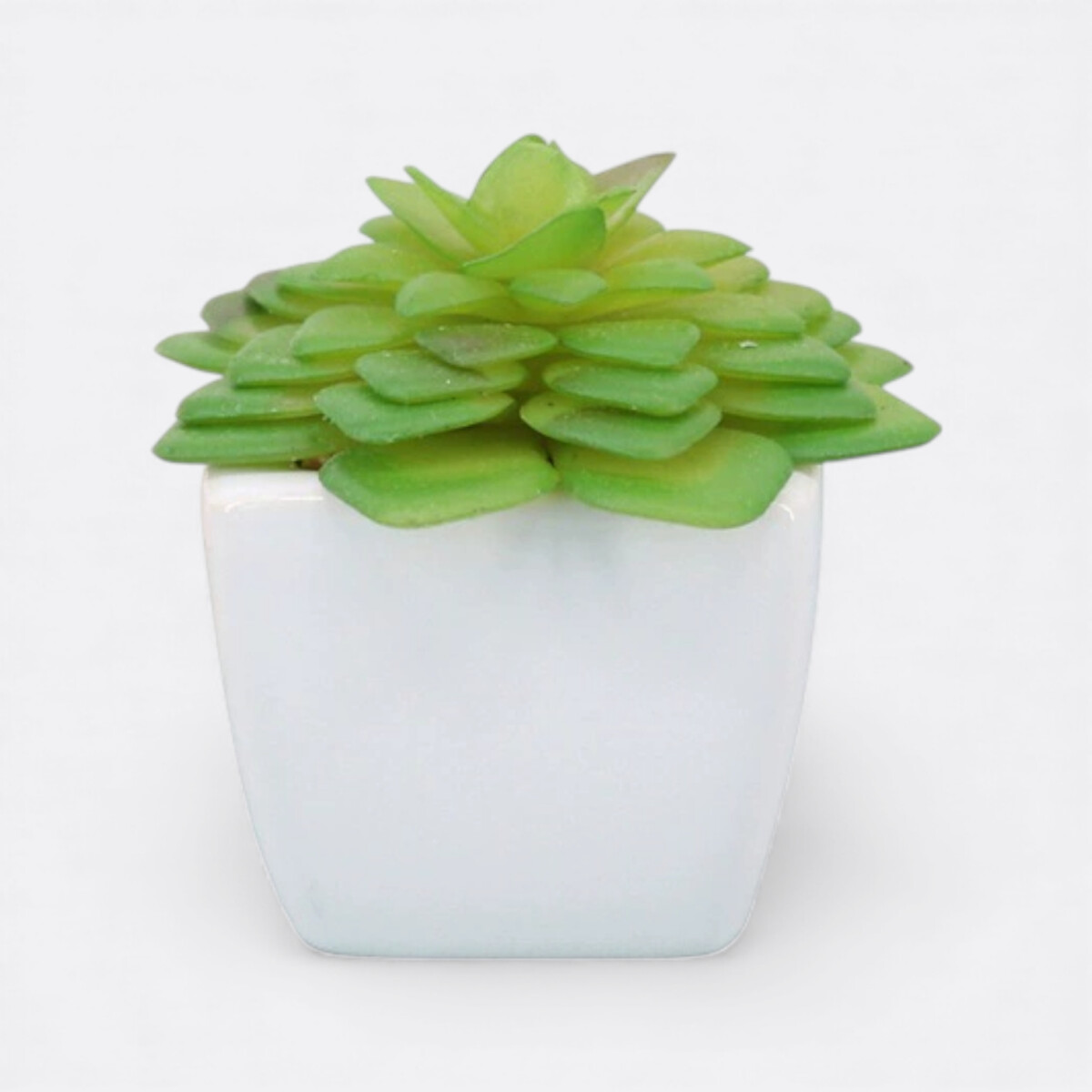 Maceta Mini Suculenta - Modelo 6 