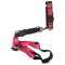 Pretal + Correa Austra Color Rosa