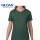 Camiseta básica a la base dama Verde