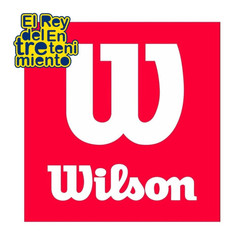 Tubo Wilson X3 Pelota Tour Clay Polvo De Ladrillo Wilwrt108900