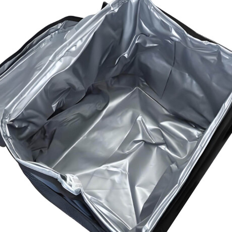 Conservadora Térmica 35l La Neverita Heladerita Carro Azul