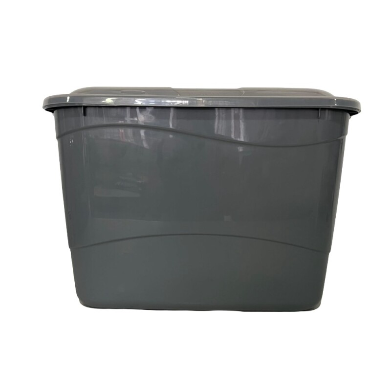 Caja Organizadora rectangular grande de plástico con trabas - RAINHA Caja Organizadora rectangular grande de plástico con trabas - RAINHA
