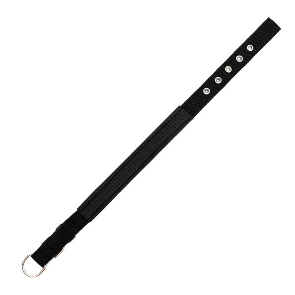 Collar Ajustable Reforzado Hebilla Nylon Perro Gato Mediano Variante Color Negro