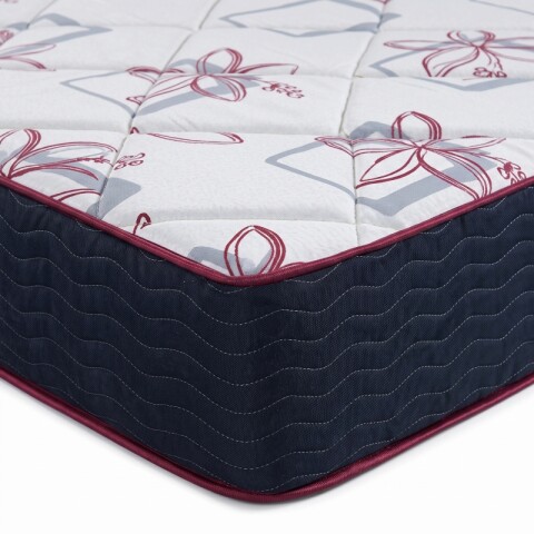 Colchon TERMINUS Espuma Reversible - 2 Plazas 140 x 190 x 18 - Hasta 120kg Colchon TERMINUS Espuma Reversible - 2 Plazas 140 x 190 x 18 - Hasta 120kg