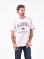 REMERA EDESSA GRIS (V)