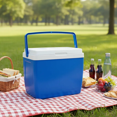 Conservadora Térmica De 34 Litros Mor Playa Camping Viajes Azul