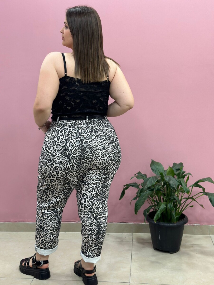 Leopardo Leopardo