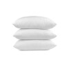 Almohada De Fibra Siliconada 60 X 40 Cm - La Tentación Almohada De Fibra Siliconada 60 X 40 Cm - La Tentación