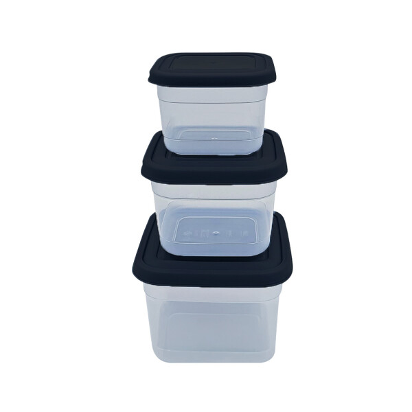 SET 3 RECIPIENTES SET 3 RECIPIENTES