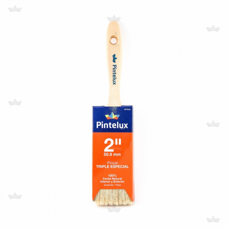 PINCEL PINTELUX TRIPLE ESPECIAL- N° 24 N/A