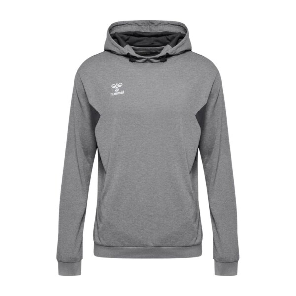 BUZO AUTHENTIC PL HOODIE UNISEX GRIS