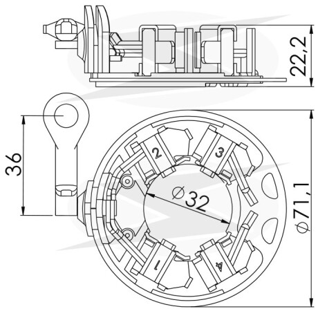 PORTA CARBONES FORD FORD RAPTOR VALEO 12V 5.3X17X15 UNIFAP PORTA CARBONES FORD FORD RAPTOR VALEO 12V 5.3X17X15 UNIFAP