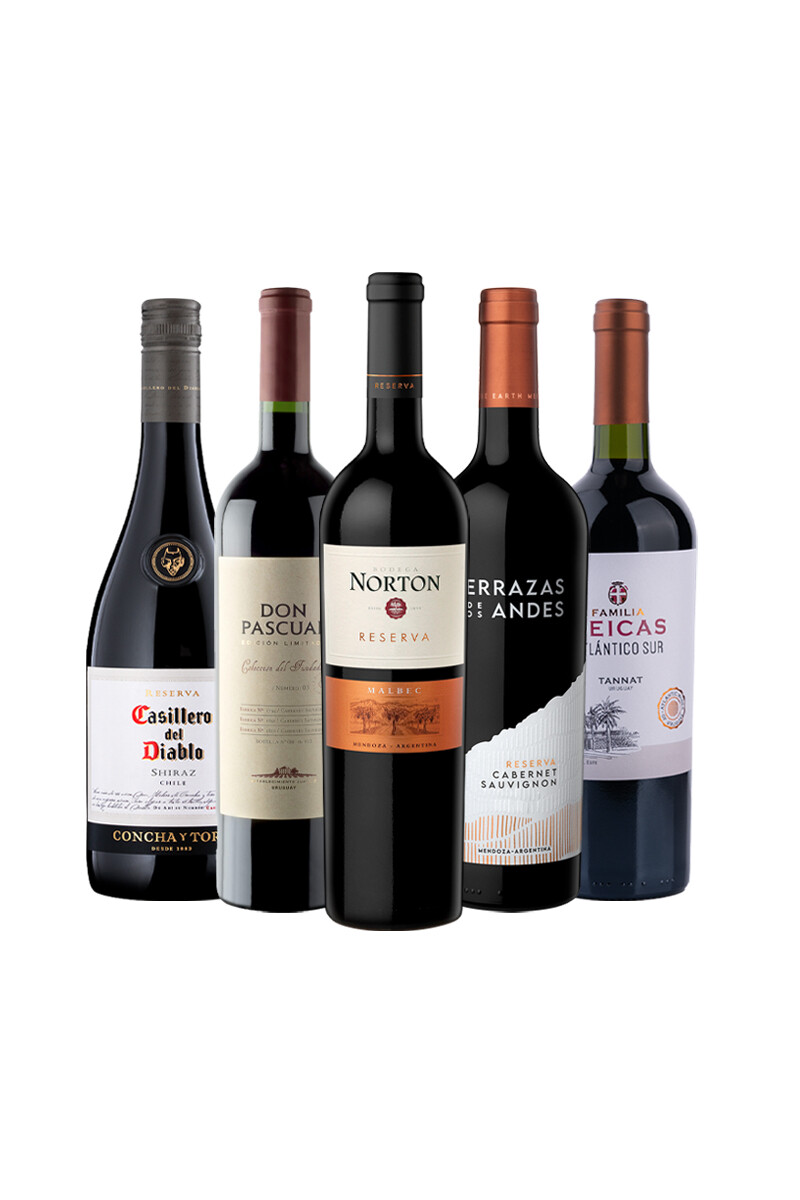 Pack Bacán Selección The Wine Edit x5 vinos Velvet Nights 