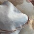 Leather Envelope Cowhide Hielo