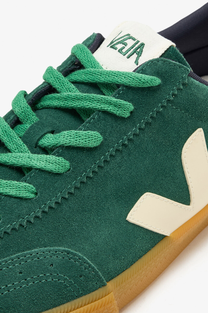 ZAPATILLA VOLLEY Verde