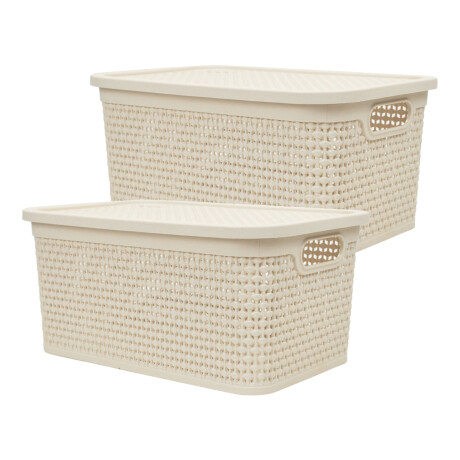 Set x2 Caja simil ratán 7,5 lts BEIGE