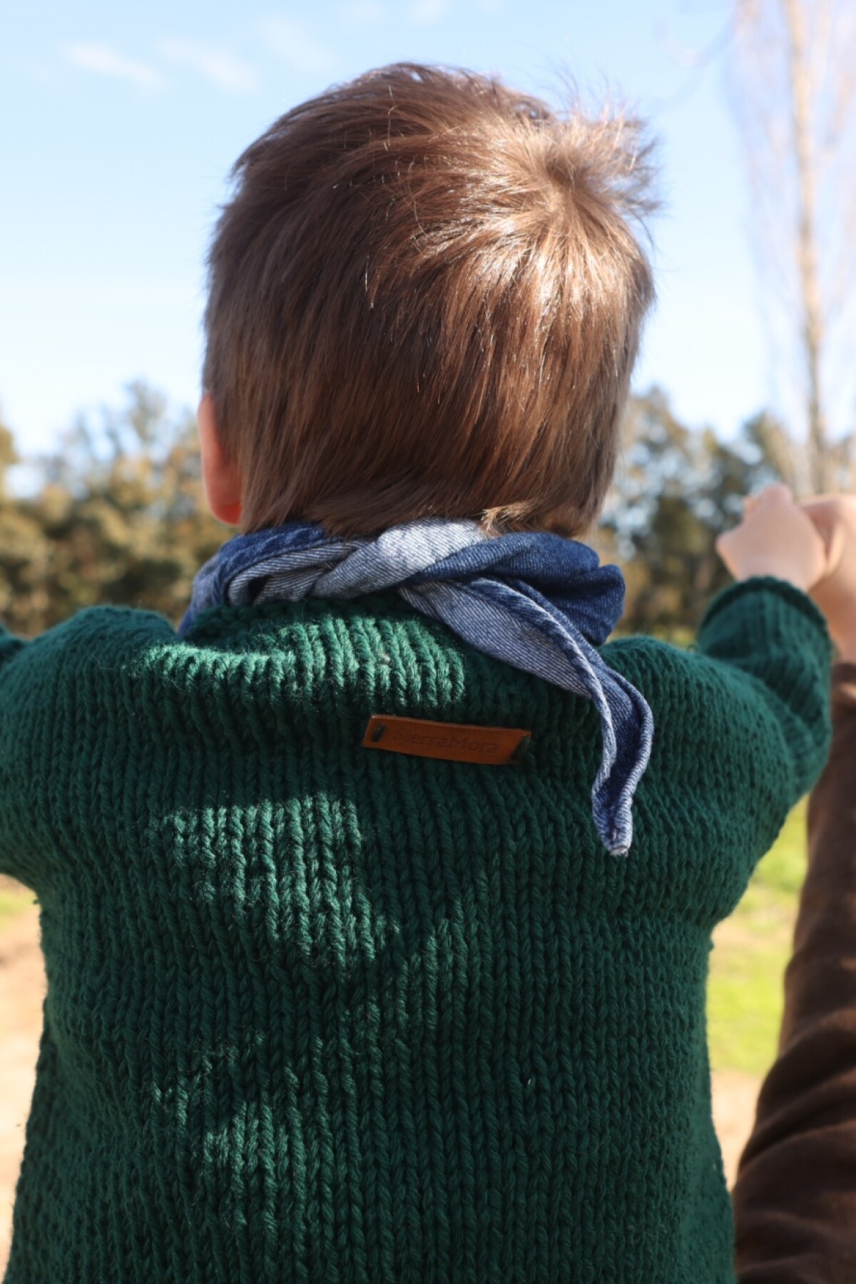 Sweater Flag Gurí Verde Inglés