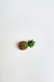 PIN FRUIT Anana Xl