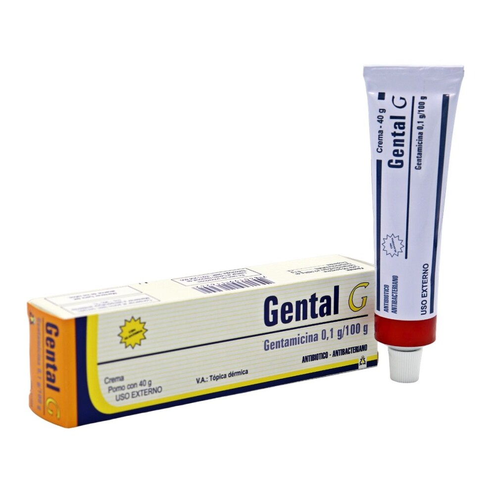 GENTAL G CREMA DERMICA POMO X 40 G única