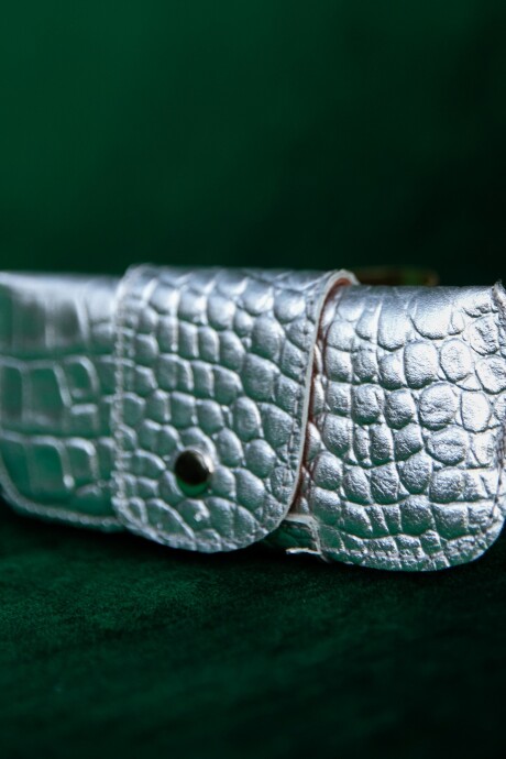 Estuche Lentes Crocco Plateado