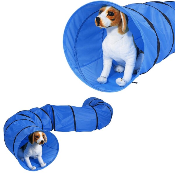 Tunel Gigante Perro Gato Mascota Redondo Tubo Interactivo Variante Color Azul