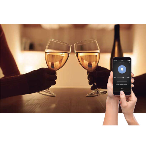 Dispositivo WIFI inteligente p/int. dimerizable C59533