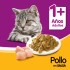 WHISKAS EN SALSA POLLO ALIMENTO HUMEDO 85 GR