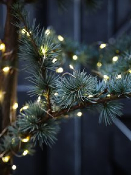 Guirnalda luces navideñas ext ANTIGORIT L790cm 80L Guirnalda luces navideñas ext ANTIGORIT L790cm 80L