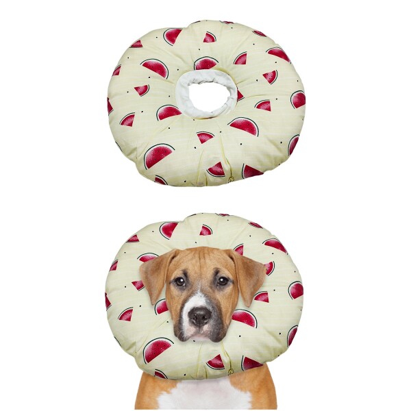 Collar Isabelino Perro Gato Mascotas Ajustable 32 Cm Tela Variante Diseño Sandia