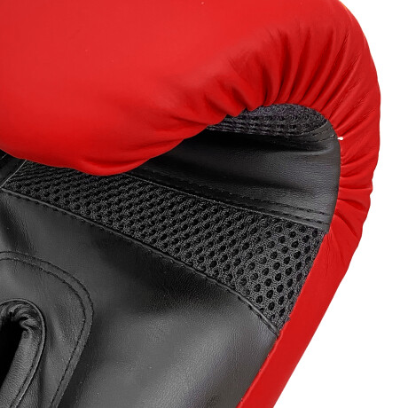 Guantes De Boxeo Expert No Pain No Gain Profesionales Rojo