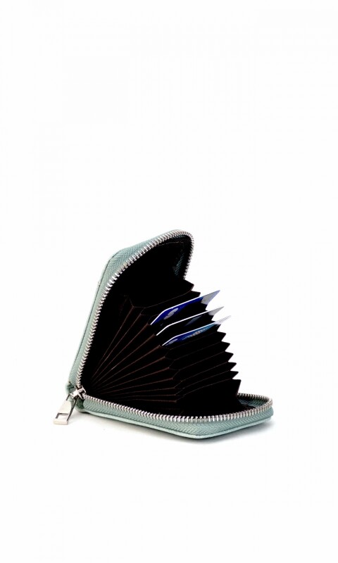 TARJETERO HONEY AQUA